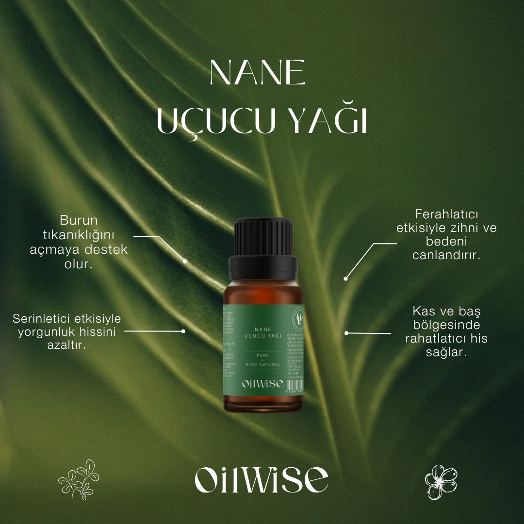 Oilwise - Nane Uçucu Yağı  - Özellikler