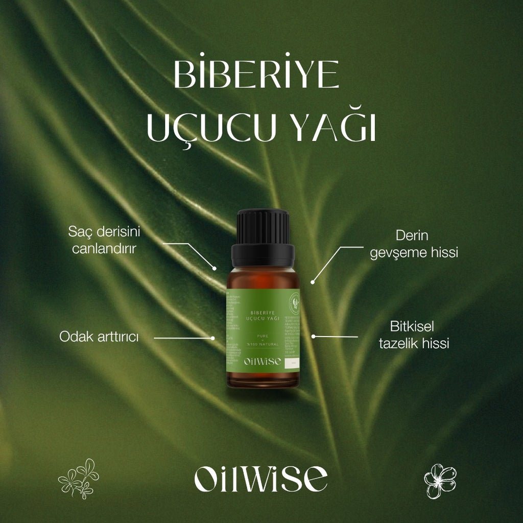 Oilwise - Biberiye Uçucu Yağı  - Özellikler