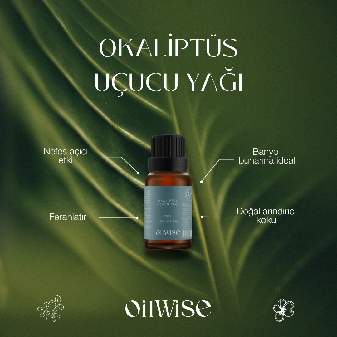 Oilwise - Okaliptüs Uçucu Yağı  - Özellikler