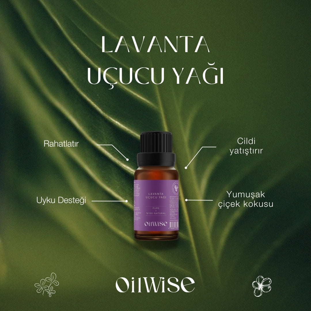 Oilwise - Lavanta Uçucu Yağı  - Özellikler