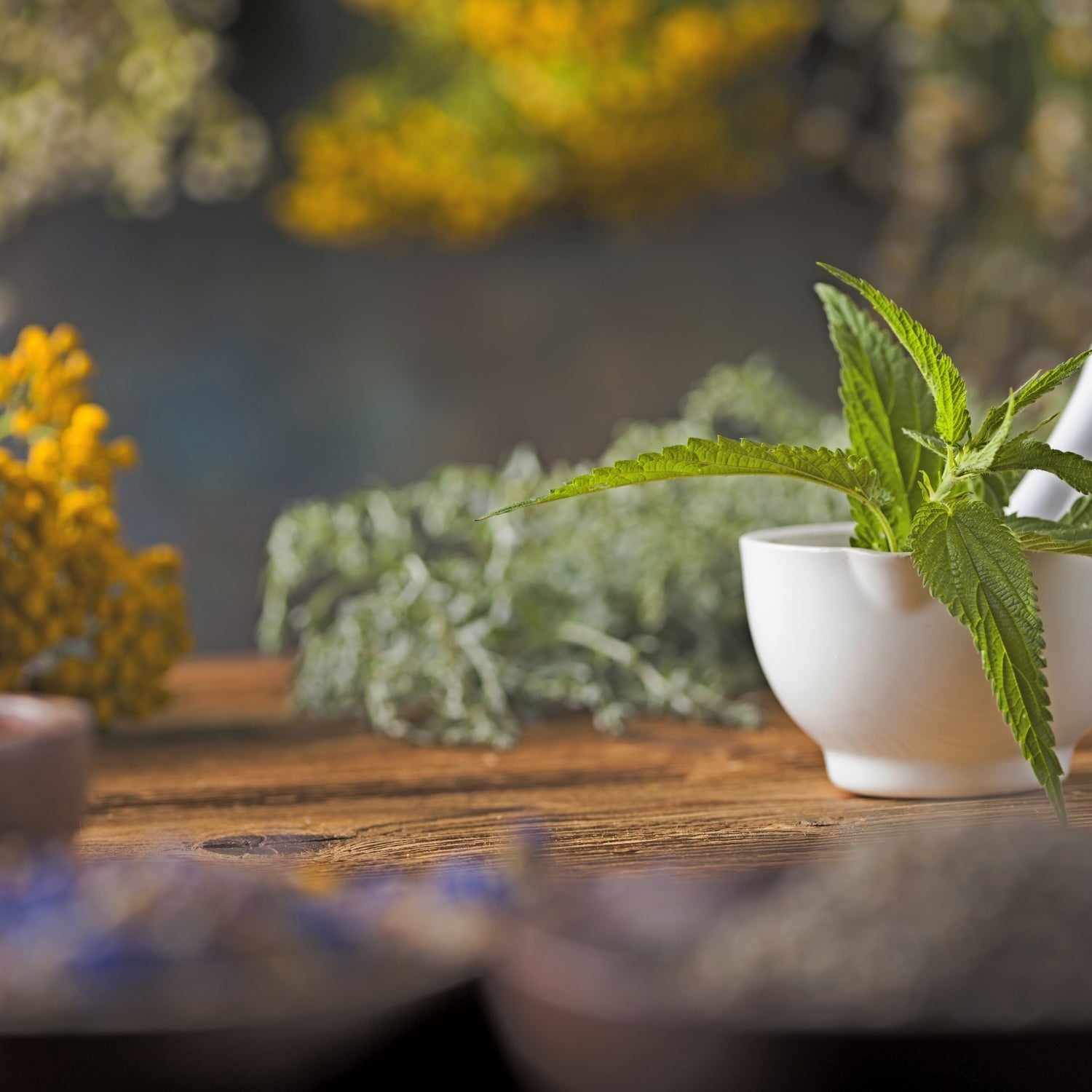 Oilwise - Sıkça Sorulan Sorular